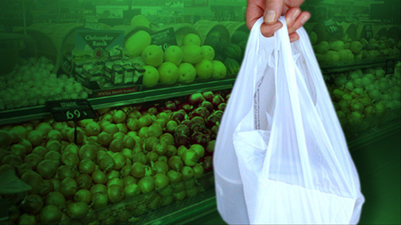 plastic-bag-grocery